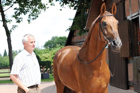 breitling hengst video|Breitling W – The Horse Magazine.